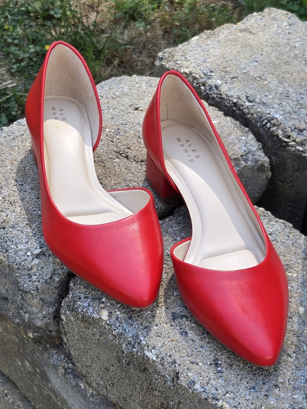 Alex Marie Red Norah Pointed Toe Low Heel Pumps